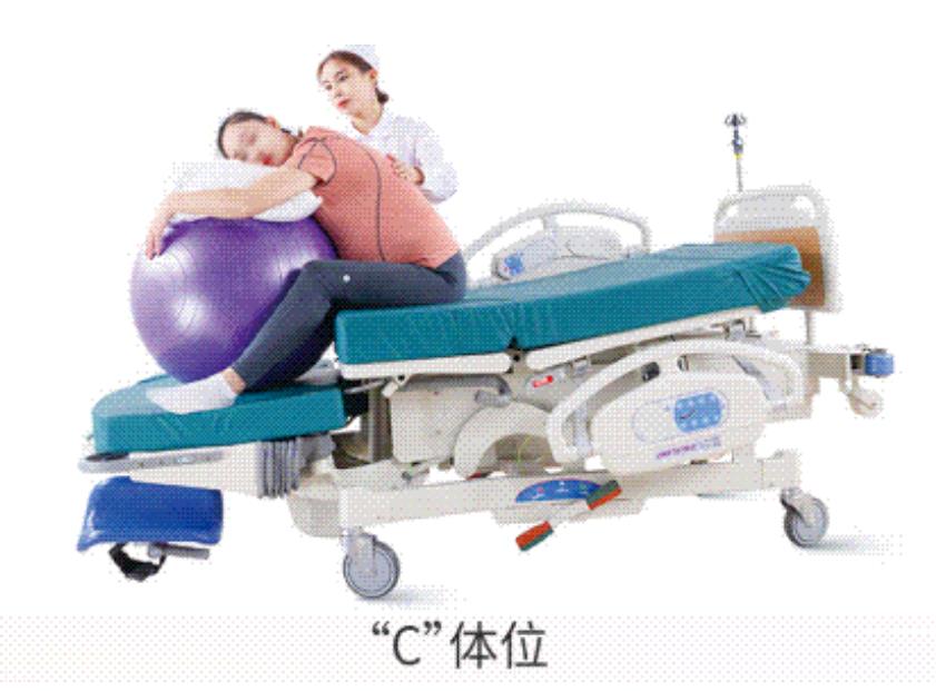 Procan@多功能產床